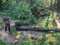 20260623_084105-scaled