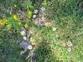 10000-16-Large-rotated
